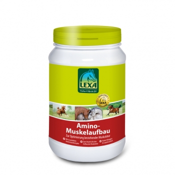 Lexa Amino Muskelaufbau