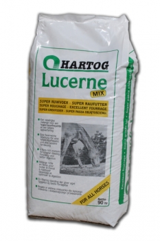 Hartog Lucerne