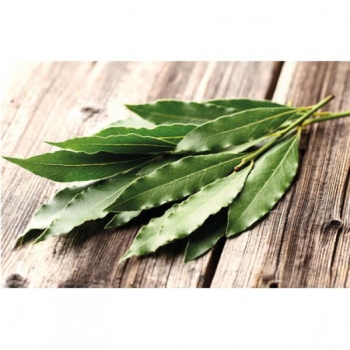 Eukalyptusblätter 1 kg