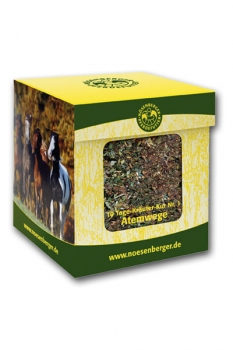 Noesenberger Kraeuter Kur Nr.1 Atemwege
