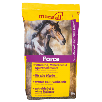 Marstall Force