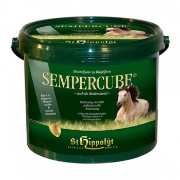 St. Hippolyt Semper Cube