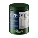 St.Hippolyt Hippomun