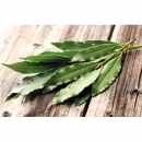 Eukalyptusblätter 1 kg