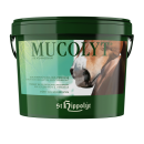 St. Hippolyt Mucolyt